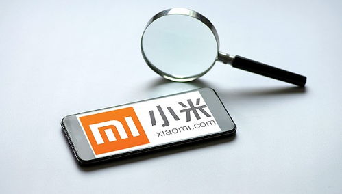 小米强化隐私保护与信息安全 第一优先级的战略布局与未来互联网服务高举高打