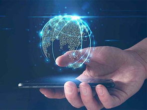 兰州软件开发成功之道 因地制宜的技术实践与创新突破