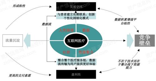2023年互联网医疗行业研究报告 互联网信息服务